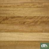 Iroko